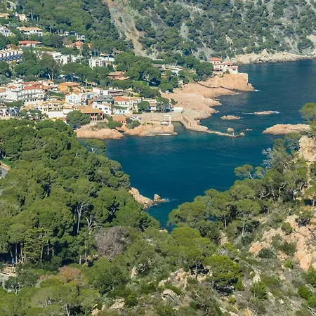 A-12 * Begur